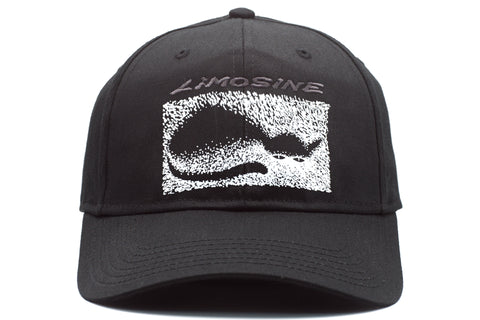 Corrosive 6 Panel Cap