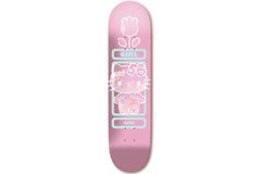 Gass Hello Kitty 50 - 8.125" | 8.5"